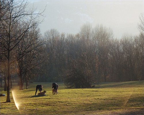 Couple jogging in park morning sunlight